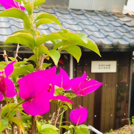 Guesthouse Nichinan - Vacation Stay 82905V 外观 照片